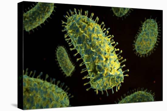 Conceptual Image of Rabies Virus-null-Stretched Canvas