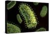 Conceptual Image of Rabies Virus-null-Stretched Canvas