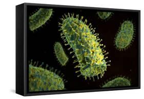 Conceptual Image of Rabies Virus-null-Framed Stretched Canvas