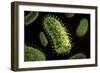 Conceptual Image of Rabies Virus-null-Framed Premium Giclee Print