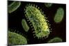 Conceptual Image of Rabies Virus-null-Mounted Premium Giclee Print