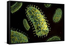 Conceptual Image of Rabies Virus-null-Framed Stretched Canvas