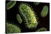 Conceptual Image of Rabies Virus-null-Stretched Canvas