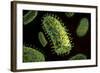 Conceptual Image of Rabies Virus-null-Framed Art Print