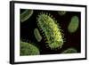 Conceptual Image of Rabies Virus-null-Framed Art Print