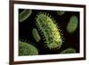 Conceptual Image of Rabies Virus-null-Framed Art Print