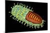 Conceptual Image of Rabies Virus-null-Mounted Art Print