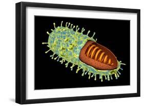 Conceptual Image of Rabies Virus-null-Framed Art Print