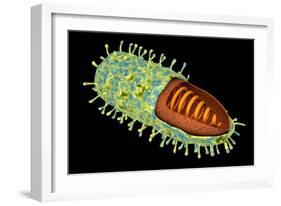 Conceptual Image of Rabies Virus-null-Framed Art Print