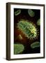 Conceptual Image of Rabies Virus-null-Framed Art Print