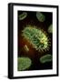 Conceptual Image of Rabies Virus-null-Framed Art Print