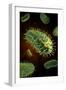 Conceptual Image of Rabies Virus-null-Framed Art Print