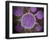 Conceptual Image of Radiolarians with a Skeletal Frame-null-Framed Art Print