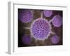 Conceptual Image of Radiolarians with a Skeletal Frame-null-Framed Art Print