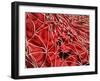 Conceptual Image of Red Blood Cells with Fibrin-null-Framed Art Print