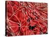 Conceptual Image of Red Blood Cells with Fibrin-null-Stretched Canvas