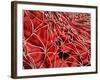 Conceptual Image of Red Blood Cells with Fibrin-null-Framed Art Print