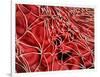 Conceptual Image of Red Blood Cells with Fibrin-null-Framed Art Print