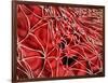 Conceptual Image of Red Blood Cells with Fibrin-null-Framed Art Print