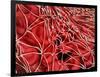 Conceptual Image of Red Blood Cells with Fibrin-null-Framed Art Print