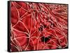 Conceptual Image of Red Blood Cells with Fibrin-null-Framed Stretched Canvas