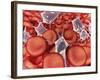 Conceptual Image of Red Blood Cells with Platelets-null-Framed Art Print