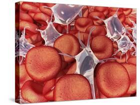 Conceptual Image of Red Blood Cells with Platelets-null-Stretched Canvas