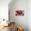 Conceptual Image of Red Blood Cells-null-Stretched Canvas displayed on a wall