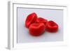 Conceptual Image of Red Blood Cells-null-Framed Art Print