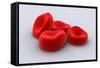 Conceptual Image of Red Blood Cells-null-Framed Stretched Canvas