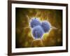 Conceptual Image of Rna Virus Replication-null-Framed Art Print