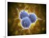 Conceptual Image of Rna Virus Replication-null-Framed Art Print