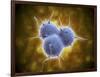 Conceptual Image of Rna Virus Replication-null-Framed Art Print