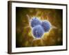 Conceptual Image of Rna Virus Replication-null-Framed Art Print