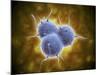 Conceptual Image of Rna Virus Replication-null-Mounted Art Print