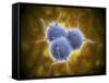 Conceptual Image of Rna Virus Replication-null-Framed Stretched Canvas