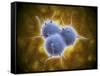 Conceptual Image of Rna Virus Replication-null-Framed Stretched Canvas