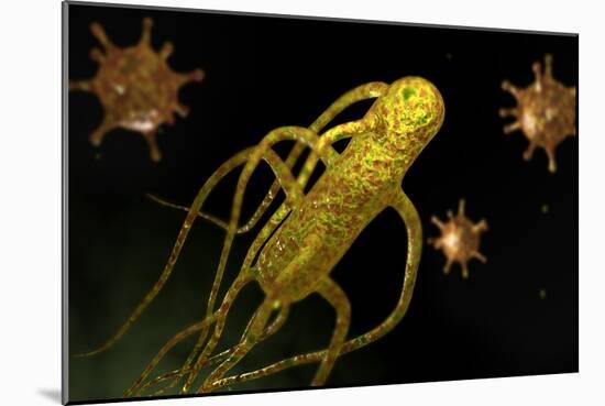 Conceptual Image of Salmonella Typhi Causing Typhoid-null-Mounted Premium Giclee Print