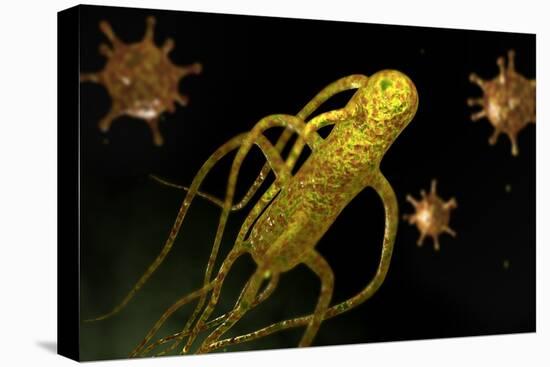 Conceptual Image of Salmonella Typhi Causing Typhoid-null-Stretched Canvas