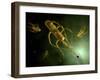 Conceptual Image of Salmonella Typhi Causing Typhoid-null-Framed Art Print