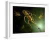 Conceptual Image of Salmonella Typhi Causing Typhoid-null-Framed Art Print