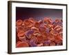 Conceptual Image of Sickle Cell Anemia with Red Blood Cells-null-Framed Art Print