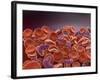 Conceptual Image of Sickle Cell Anemia with Red Blood Cells-null-Framed Art Print