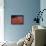 Conceptual Image of Sickle Cell Anemia with Red Blood Cells-null-Framed Stretched Canvas displayed on a wall