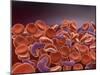 Conceptual Image of Sickle Cell Anemia with Red Blood Cells-null-Mounted Art Print