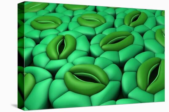 Conceptual Image of Stomata-null-Stretched Canvas