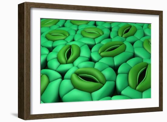 Conceptual Image of Stomata-null-Framed Art Print