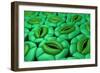 Conceptual Image of Stomata-null-Framed Art Print