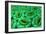 Conceptual Image of Stomata-null-Framed Art Print