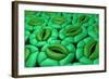 Conceptual Image of Stomata-null-Framed Art Print